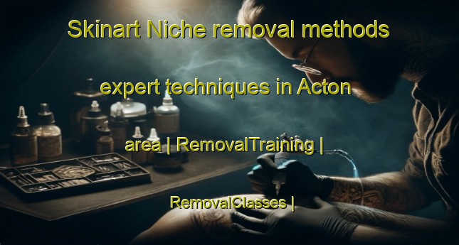 Skinart Niche removal methods expert techniques in Acton area | RemovalTraining | RemovalClasses | SkinartTraining-United Kingdom